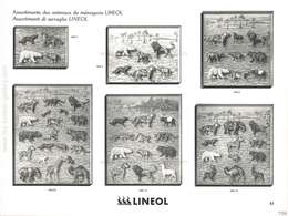 Lineol, Lineol - Catalogue Spécial No. 10, Catalogo Speciale No. 10 (französisch / italienisch) - 1937, Page 41