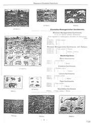 Elastolin, Elastolin - F Neuheiten Nachtrag, mit vollständigem Soldaten-Verzeichnis - 1930, Page 31