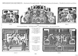 Tipple-Topple, Tipple-Topple - Illustrierter Spezial Katalog - 1914, Page 13