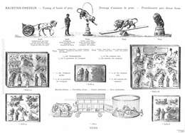 Tipple-Topple, Tipple-Topple - Illustrierter Spezial Katalog - 1914, Page 33