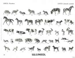 Lineol, Lineol - Spezial Katalog Nr. 10, Special Catalogue No. 10 (deutsch / englisch) - 1937, Page 34
