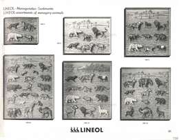 Lineol, Lineol - Spezial Katalog Nr. 10, Special Catalogue No. 10 (deutsch / englisch) - 1937, Page 41