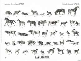 Lineol, Lineol - Catalogue Spécial No. 10, Catalogo Speciale No. 10 (französisch / italienisch) - 1937, Page 34